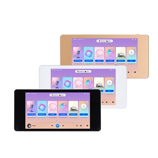 [D-DM838] Lecteur de musique réseau avec amplificateur 2x20W SD/ BT/AirPlay